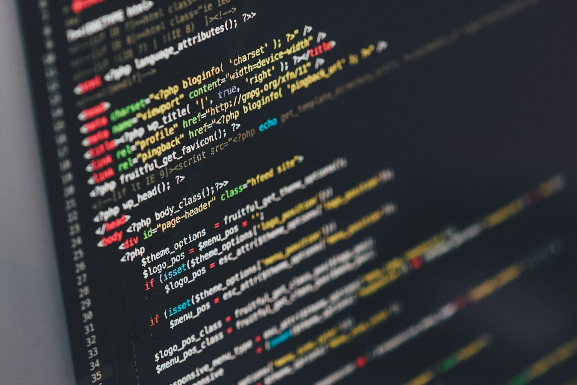 Web development